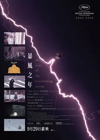 電影的資料